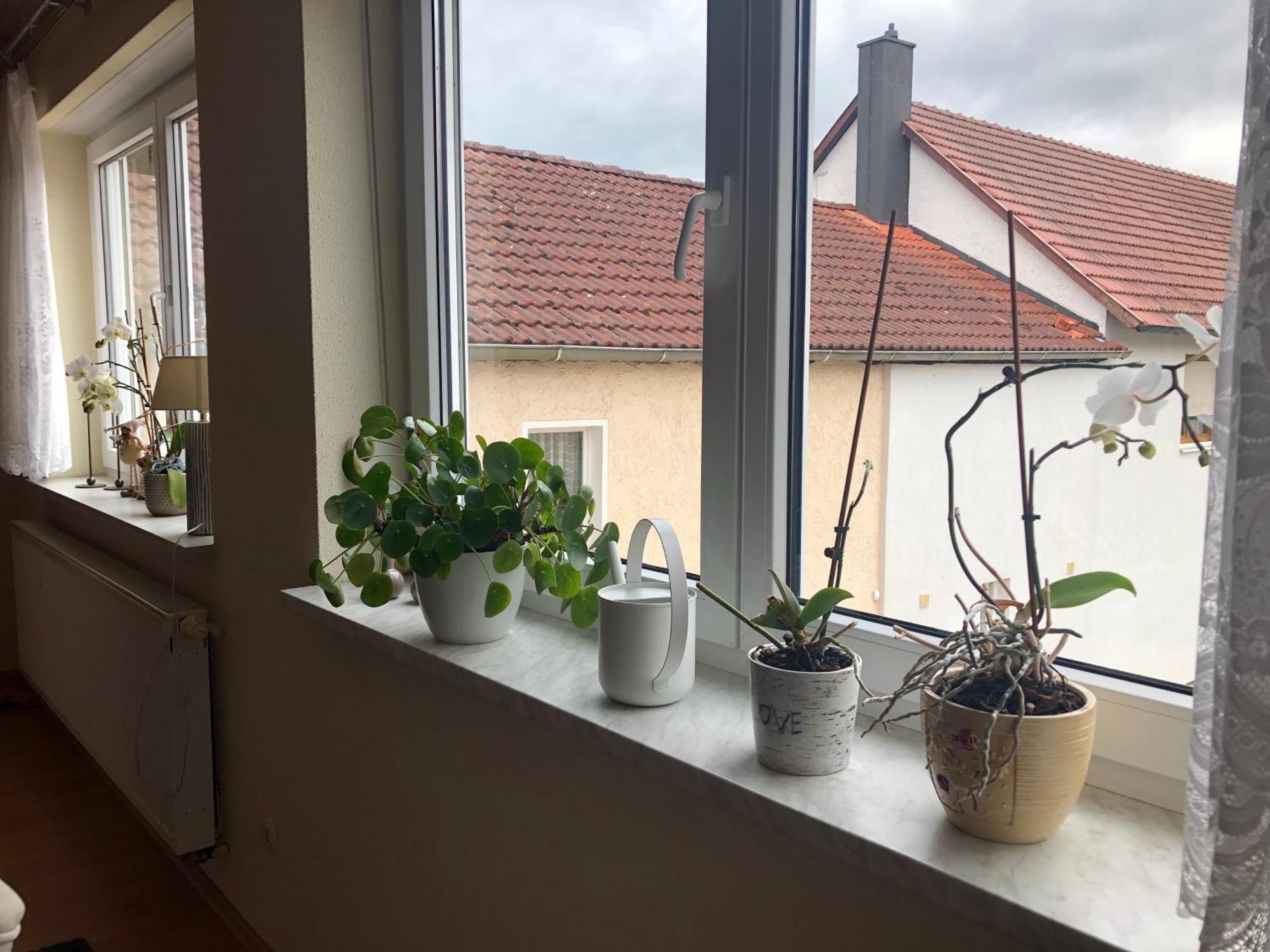 Ferienwohnung Am Gruenen Band Hellingen Exterior foto